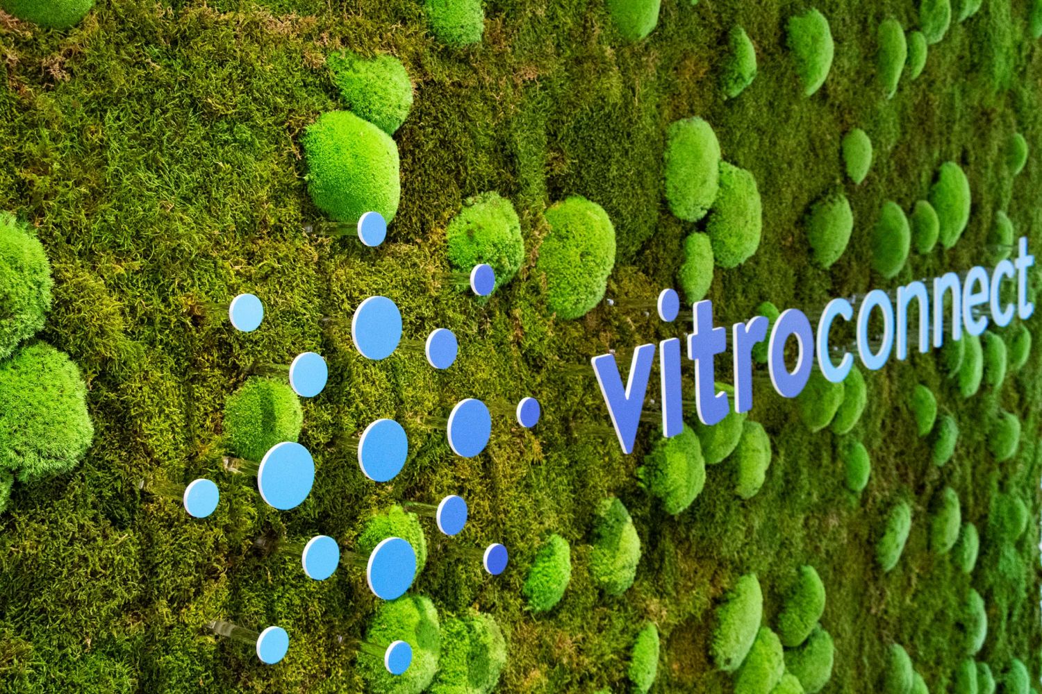 Logo vitroconnect auf bemoostem Hintergrund